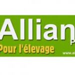 Afterwork à l'Alliance pastorale à Valdivienne