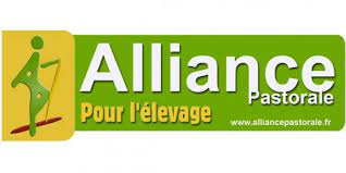 Afterwork à l'Alliance pastorale à Valdivienne